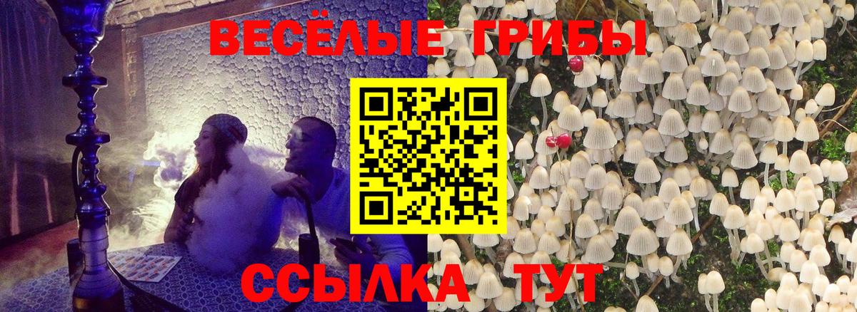 Псилоцибиновые грибы прущие грибы  Галлюциногенные грибы прущие грибы  Сертолово  Вход с VPN 